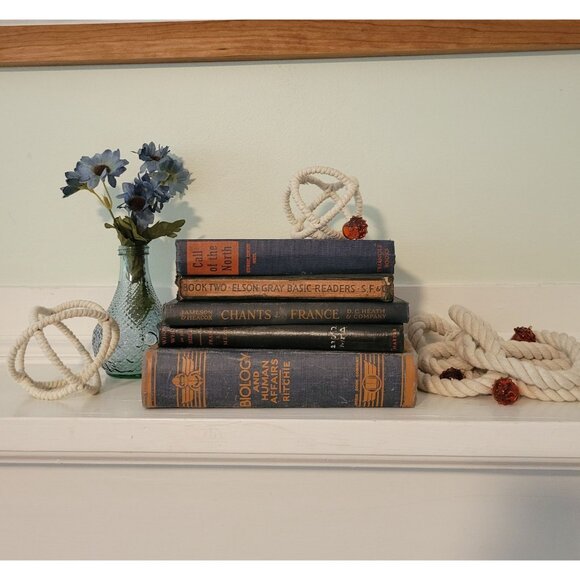 5 Blue Red Vintage Book Set Lot Staging Decor Retro Prop Shelf Mantle Centerpiec - Picture 1 of 12